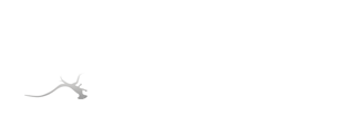 Mosko Motos